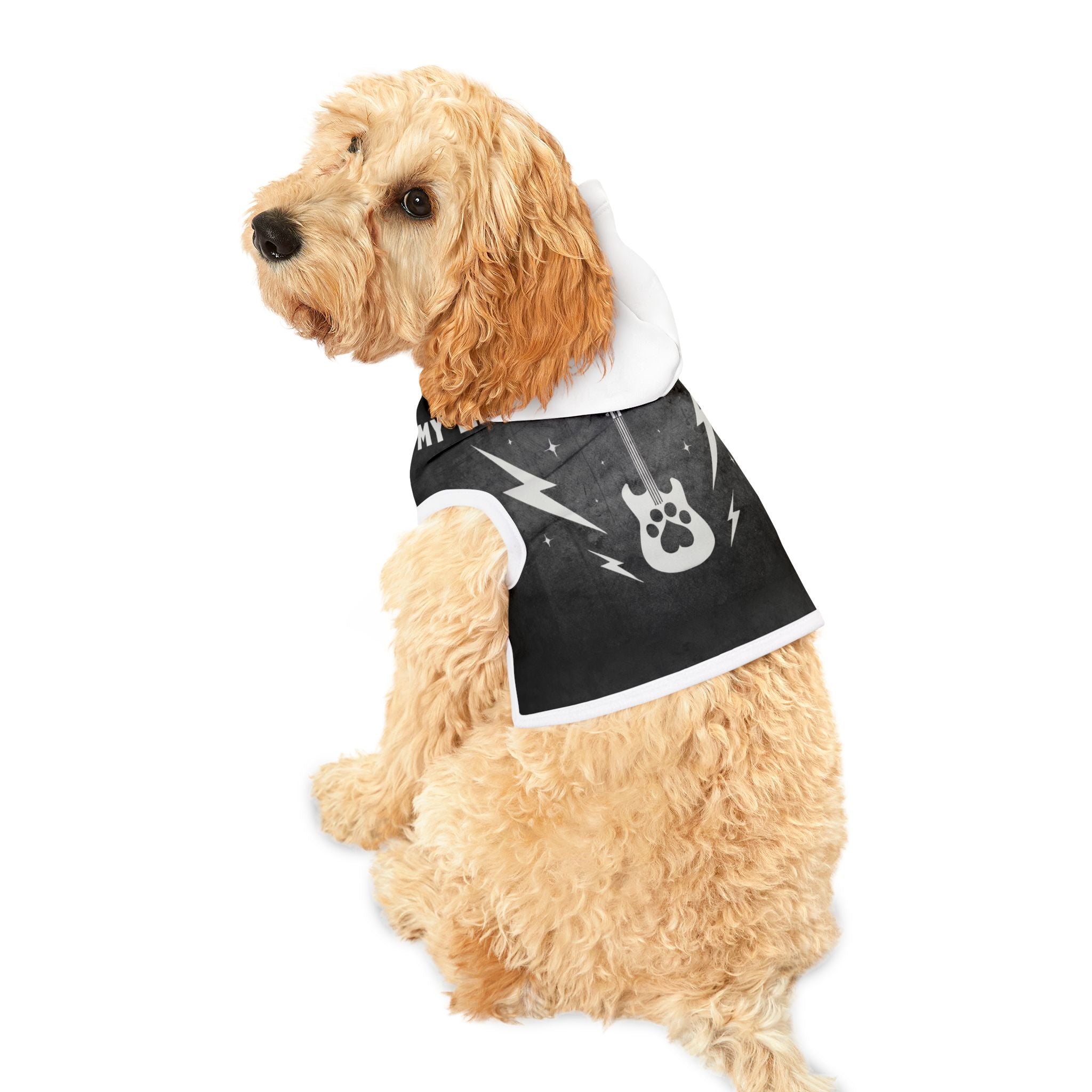 Pet Hoodie